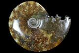 Polished, Agatized Ammonite (Cleoniceras) - Madagascar #97277-1